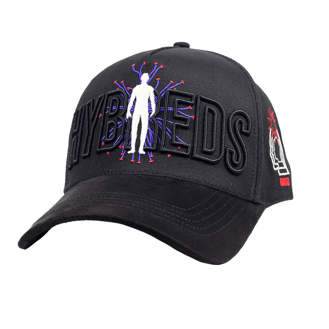 HYBREDS - 1 Year Anniversary